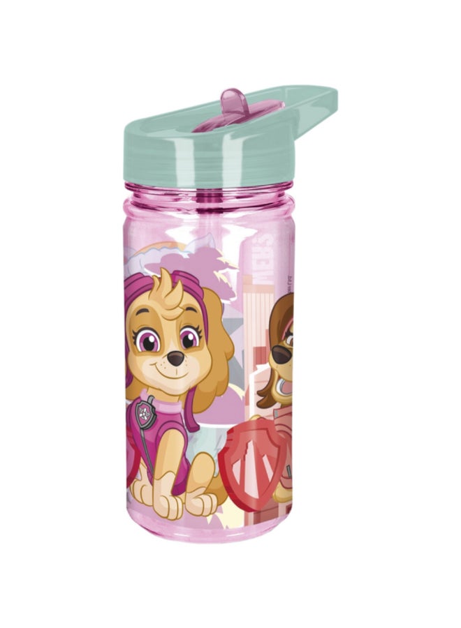 Ecozen Paw Patrol Girl Superpowers Water Bottle Multicolour 475 ml 81841